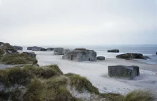 Abandoned bunkers of the Second World War, reabsorbed by nature