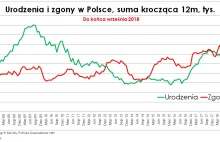 Spada liczba urodzeń w Polsce