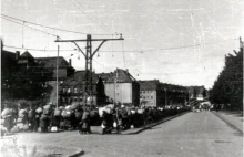 Szczecin 1945. Głód i śmierć na Wałach Chrobrego. Niemcy masowo umierają