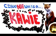 Czego nie wiesz o... ☕ KAWIE ☕