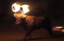 Znęcali się nad bykiem. Szokujące nagranie z festiwalu w Hiszpanii