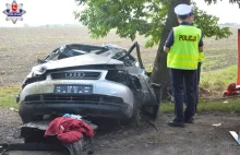 Audi uderzyło w łosia, a potem w drzewo. Kierowca zginął na miejscu