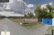 Google Sheep View