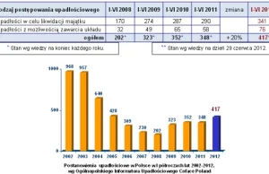 Zdecydowany wzrost liczby upadłości polskich firm