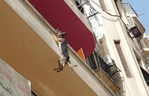 Pies zwisał z balkonu na drucie owiniętym wokół szyi. Złapał się zębami za