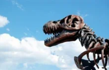 Owad zapylacz z czasów dinozaurów