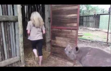 Jak brzmi malutki nosorożec nie lubiący samotności?