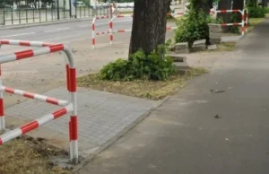 Nielegalna przebudowa drogi rowerowej przy ul. Hallera w Gdańsku