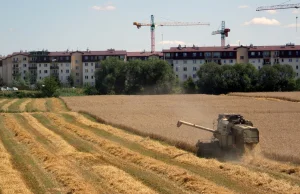 Dostał 500 zł mandatu za żniwa pod oknami.