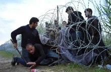 Polacy nie chcą przyjmować „uchodźców”