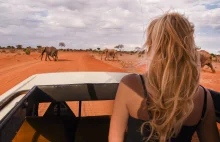 Safari w Kenii - ile kosztuje i jak je zorganizować - informacje praktyczne