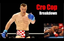 Mirko Cro Cop przechodzi na emeryture