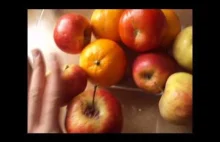 Jabłka przyśpieszają psucie się innych produktów.