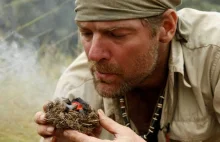 10 porad dotyczących przetrwania od Les Stroud