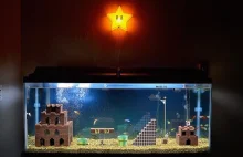 Akwarium Super Mario Bros.
