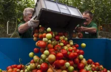 Chiny otworzyły swój rynek dla polskich jabłek