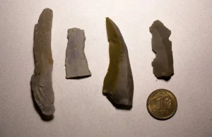 Na spacerze znalazł narzędzia sprzed... 30 tysięcy lat