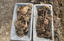 Ludzkie kości leżały porozrzucane na polu. A przy nich guziki od mundurów