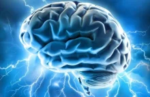 Obalamy 10 najczęściej powtarzanych mitów na temat mózgu
