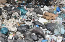 Nielegalne odpady wracają z Polski do Wielkiej Brytanii. Już 1,4 tys. ton