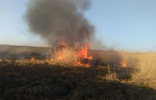 Pożar nieużytków. Poparzeni chłopcy w szpitalach