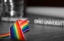 Strzelanie do gejów i lesbijek zakazane. Grę usunięto ze Steam Greenlight