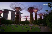 Singapur to najbardziej zgrane z przyrodą miasto na świecie.