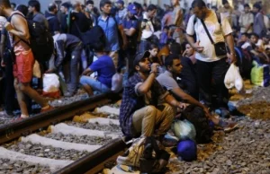 Węgrzy zaostrzają kurs wobec nielegalnych imigrantów.Czeka ich szybkie odsyłanie