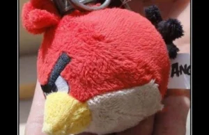 naprawde niebezpieczny "angry bird" :)