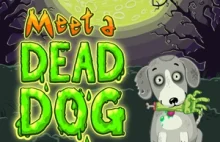 Meet a Dead Dog - gra z nietypowym bohaterem:)