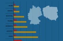 Zarobki w różnych zawodach: Wszędzie zarabiamy kilka razy mniej niż Niemcy