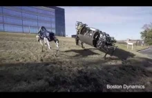 Spot Robot - nowy model robota kroczącego od Boston Dynamics