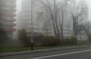 w Krakowie ogłoszono II stopień zagrożenia zanieczyszczeniem powietrza
