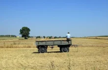 Rolnik co miesiąc przez 20 lat dostanie rekompensatę za urzędniczą bezczynność