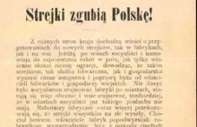 Strejki zgubią Polskę!