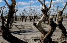 Epecuen - wymarłe miasto