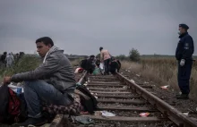 Węgrzy są oburzeni manipulacją medialną w sprawie imigrantów