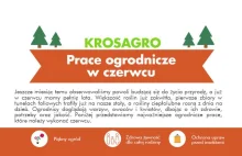 Prace w ogrodzie w czerwcu pod osłonami