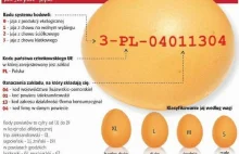 Uważajcie na ekologiczne jajka! Mogą zawierać dioksyny