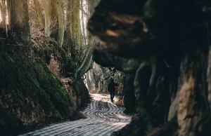 Wybetonowali kultowe miejsce w Kazimierzu Dolnym. Sprawdziliśmy, kto ma...