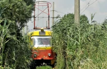 Odessa. Zardzewiałym tramwajem przez bagno!