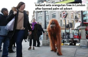 Sklepy Iceland rekordowo popularne po tym, jak zablokowano ich reklamę
