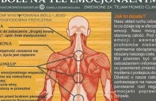 Bóle na tle emocjonalnym - medycyna psychosomatyczna