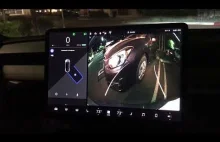 Tesla Model 3 parkuje