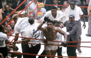 Muhammad Ali i niedźwiedzie