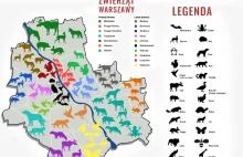 Świstuny, lisy, wydry. Jakie zwierzęta żyją w Warszawie? Zdziwisz się...