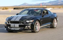 Shelby GT | Mustang, którego Hellcat może się bać