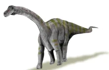 Tytanozaury nie opiekowały się swoimi dziećmi