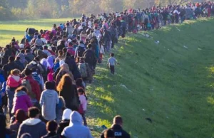 Szwedzki budżet ugina się pod ciężarem uchodźców. Zapłacą podatnicy