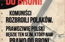 Prawdziwie polski będzie ten Sejm, który nam prawo do broni przywróci.